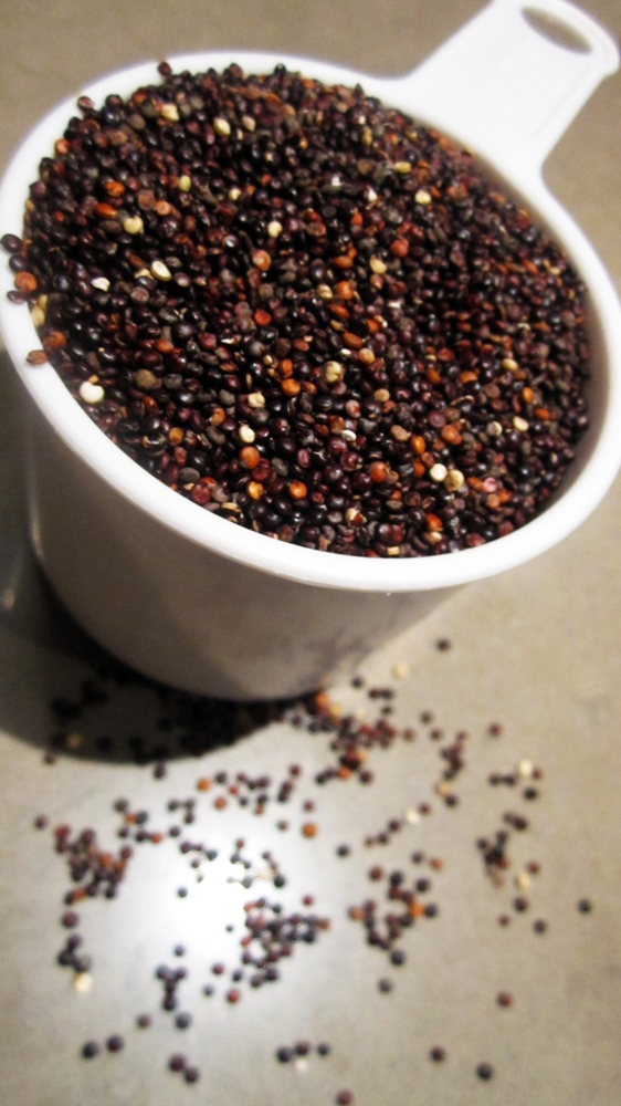 Red and Black Quinoa Red and Black Quinoa