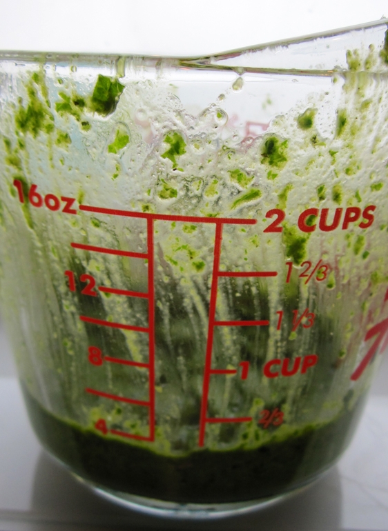 Vegan Pesto (also Gluten-Free)... and Tips on How to Freeze it Vegan Pesto (also Gluten-Free)... and Tips on How to Freeze it