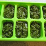 cooking_pesto-freeze Vegan Pesto