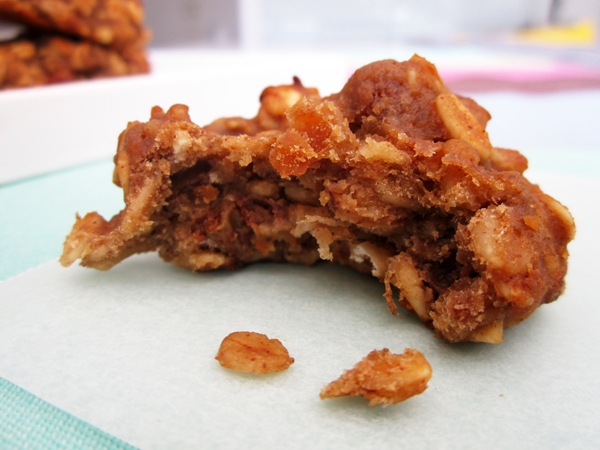 Healthy Breakfast Cookies - Vegan and Gluten-Free {NO Flour, NO sugar, NO oil! Just bananas, applesauce, peanut butter, maple syrup, vanilla extract, cinnamon, oats, walnuts and raisins}