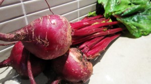Beetroot Beetroot