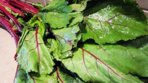 Beet Greens Beet Greens
