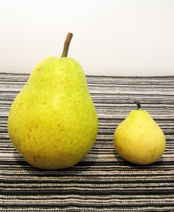 Regular vs Mini Pear Regular vs Mini Pear