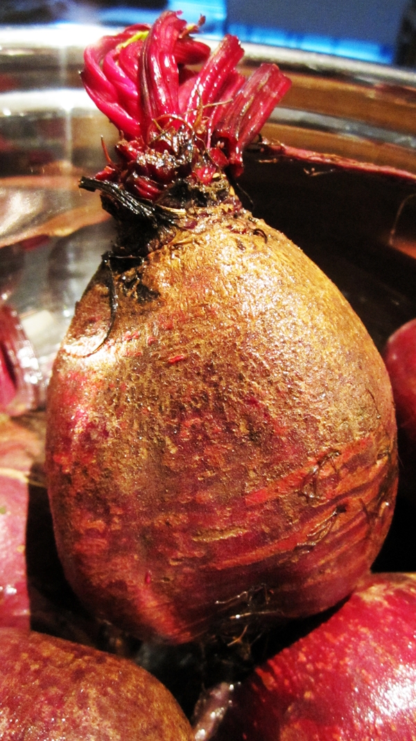 Beetroot Beetroot