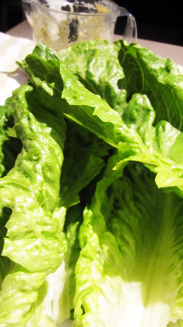 Romaine Lettuce Romaine Lettuce