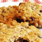 Vegan Oatmeal Chocolate Chip Cookies