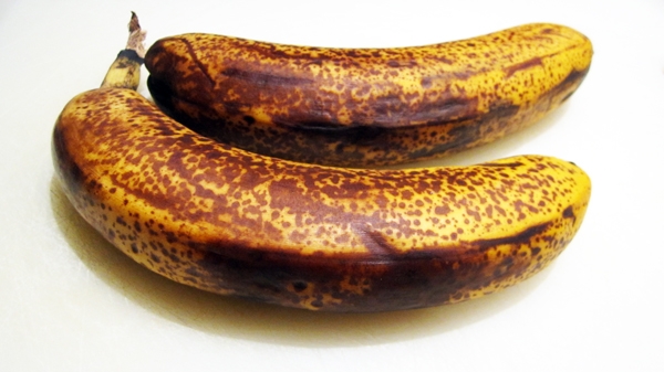 Chocolate Banana Muffins with Chickpea Flour - Moist, packed with protein and best of all: Vegan and Gluten-Free! Chocolate Banana Muffins with Chickpea Flour - Moist, packed with protein and best of all: Vegan and Gluten-Free!