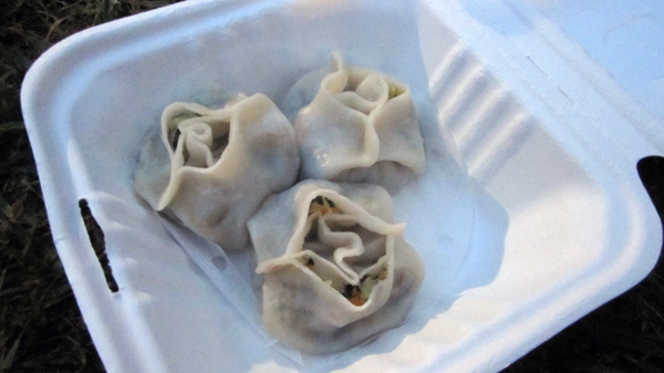Steamed Vegetable Dumplings Steamed Vegetable Dumplings