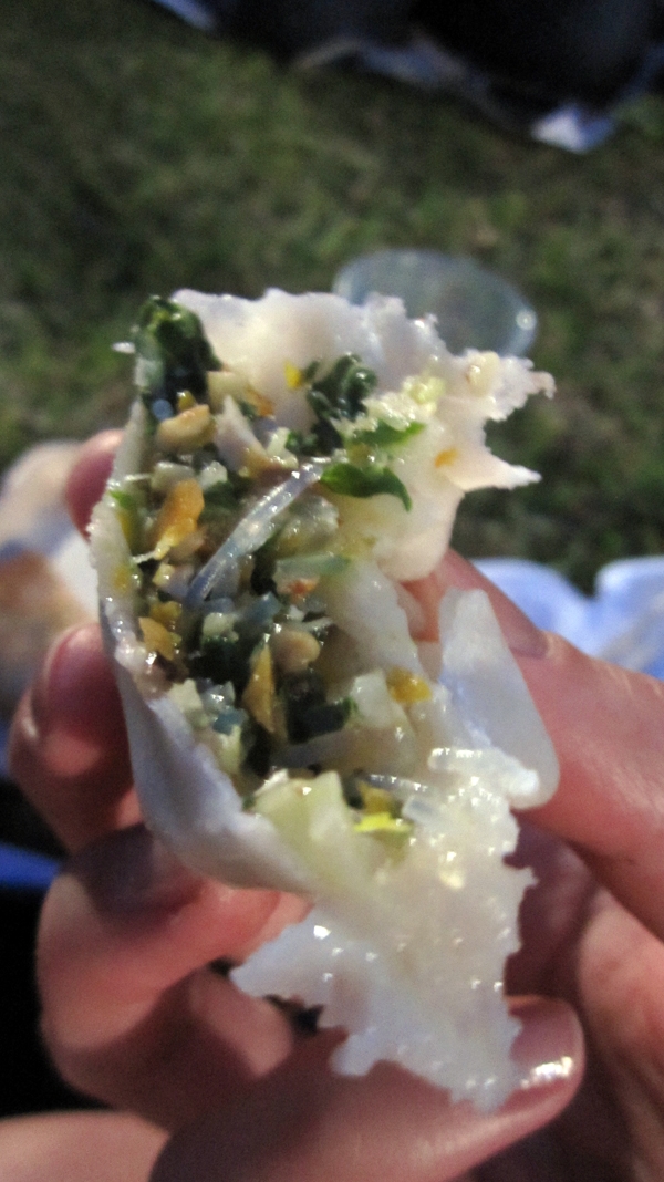 Steamed Vegetarian Dumplings Steamed Vegetarian Dumplings