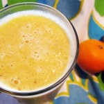 Orange Julius Protein Shake