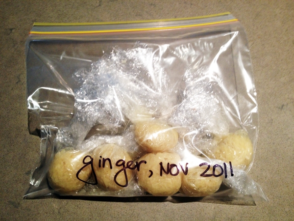 Freezing Ginger Freezing Ginger
