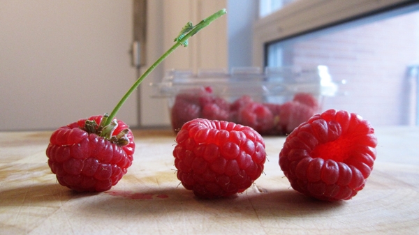 Baby Kale Salad with Raspberries & Maple Pecans - Vegan & Gluten-Free